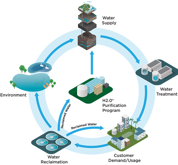 graphic displaying the water purification process